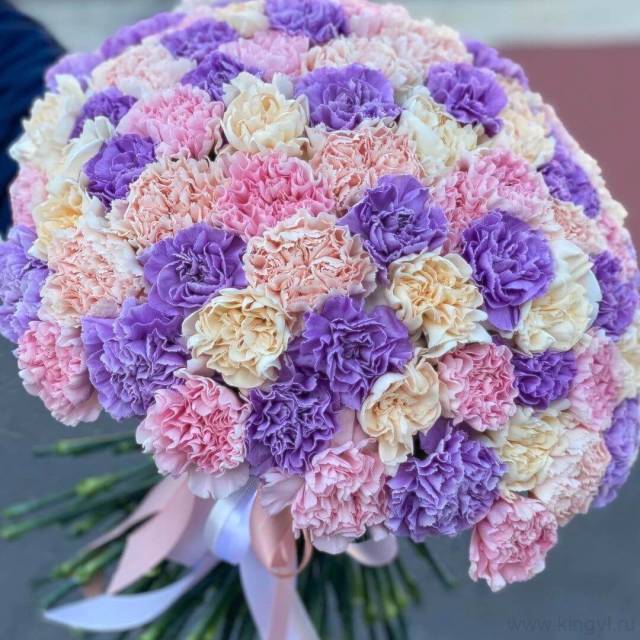 Букет из 101 сортовой гвоздики 