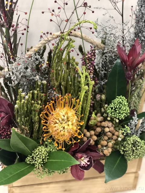 Композиция в ящике с нутаном