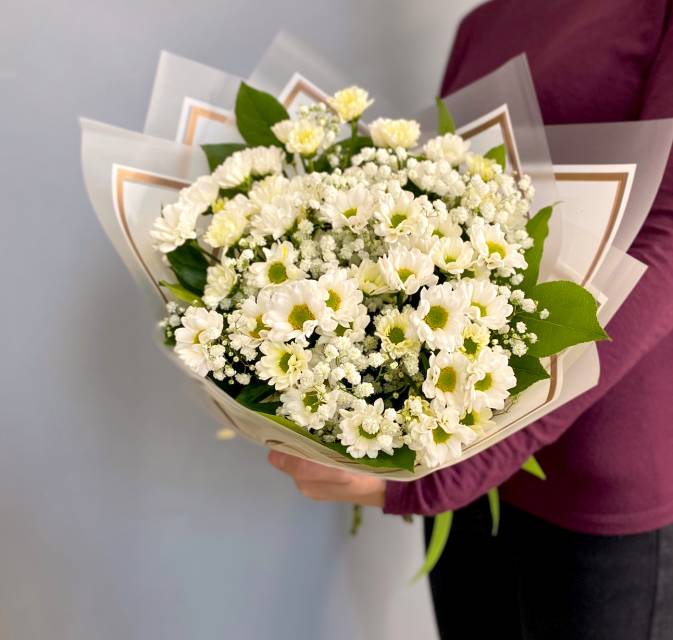 Милая сантини 