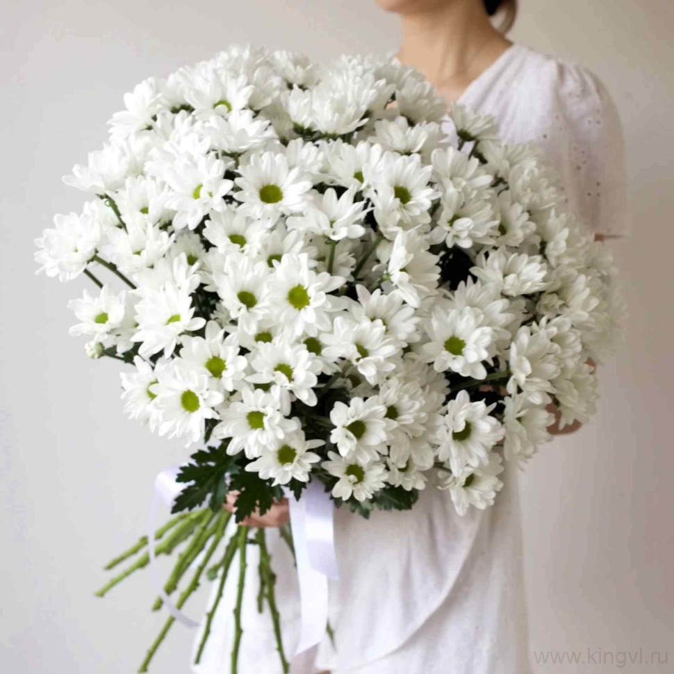 Букет из 15 ромашковых хризантем. Цветы Владивосток фото 1 &mdash; Цветочный король