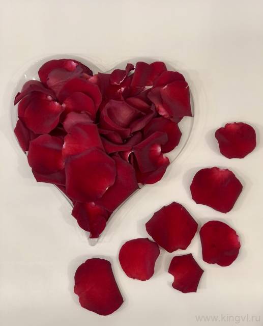Лепестки роз 