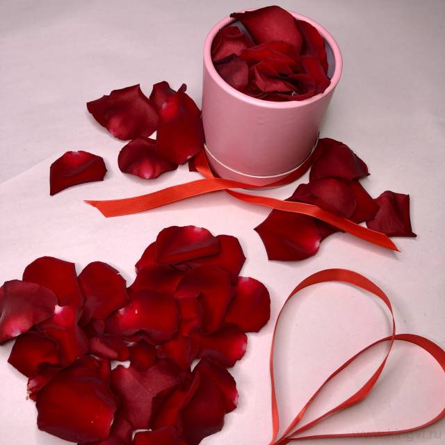 Лепестки роз 