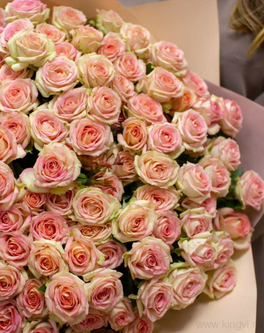 Кустовые розы Azore — Цветочный король