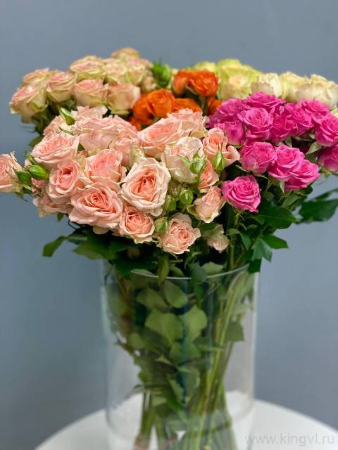 Роза кустовая - любое количество