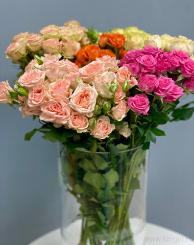 Роза кустовая - любое количество — Цветочный король