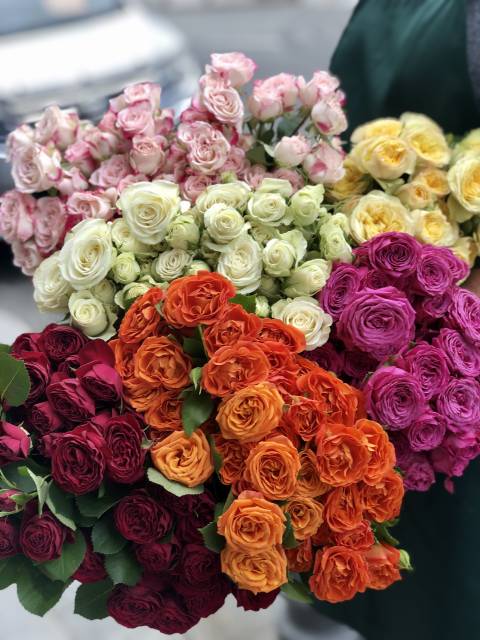 Роза кустовая - любое количество