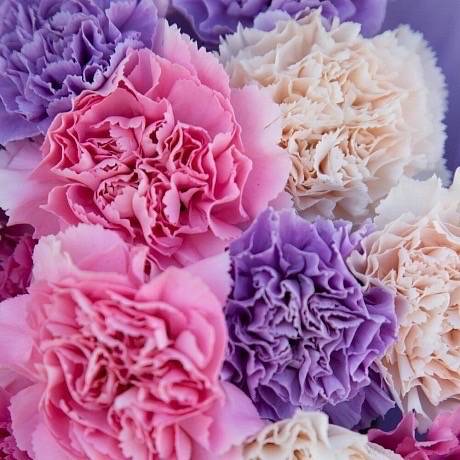 Букет "Зефирные кружева"