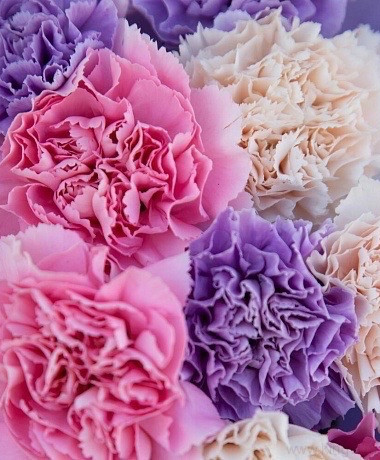 Букет &quot;Зефирные кружева&quot; — Цветочный король