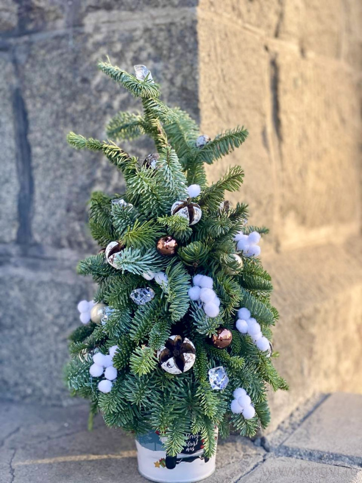 Елка в стиле эко. Цветы Владивосток фото 1 &mdash; Цветочный король