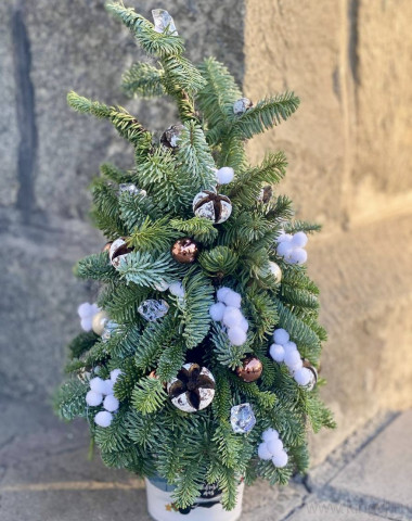 Елка в стиле эко &mdash; Цветочный король