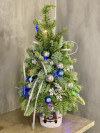 Елочка "Зимняя магия". Цветы Владивосток фото 1 &mdash; Цветочный король