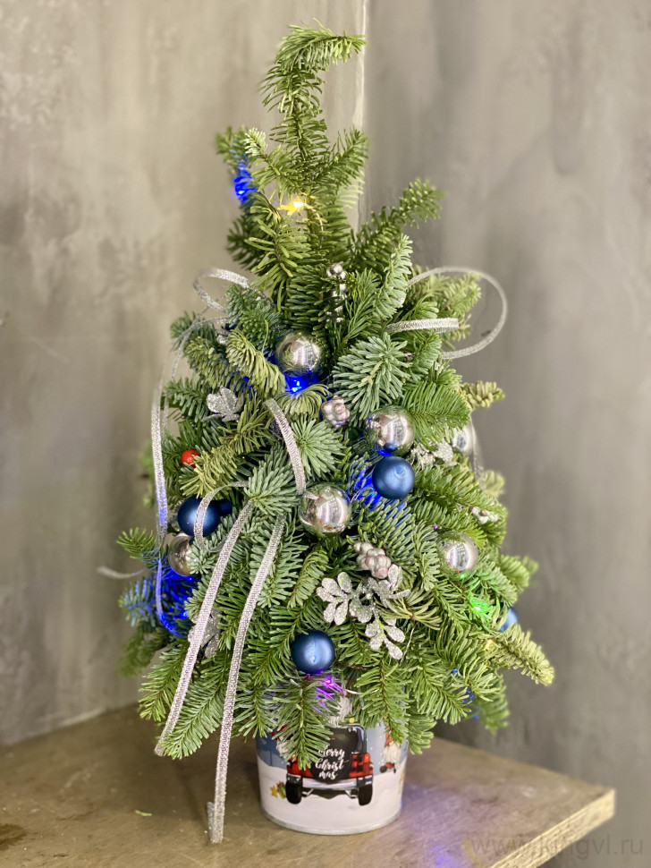 Елочка "Зимняя магия". Цветы Владивосток фото 1 &mdash; Цветочный король