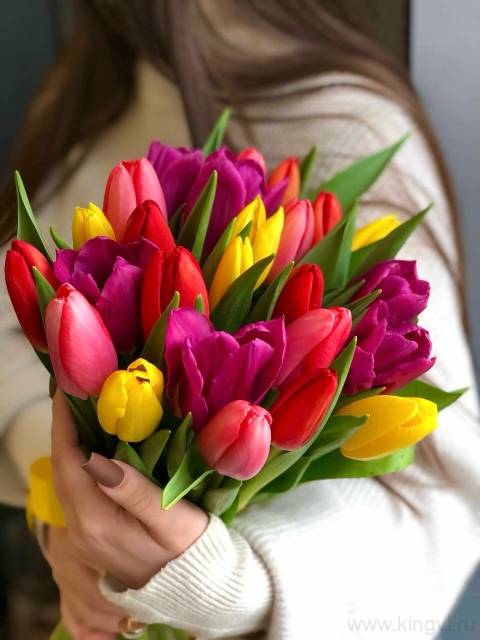 Букет разноцветных тюльпанов (25 шт)  