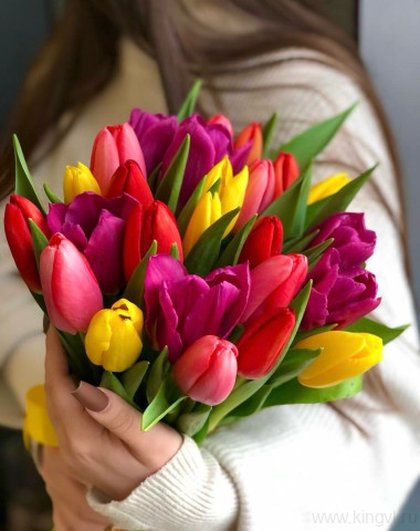 Букет разноцветных тюльпанов (25 шт)   &mdash; Цветочный король