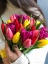 Букет разноцветных тюльпанов (25 шт)  . Цветы Владивосток фото 2 &mdash; Цветочный король