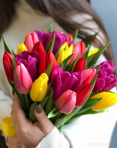 Букет разноцветных тюльпанов (25 шт)   &mdash; Цветочный король
