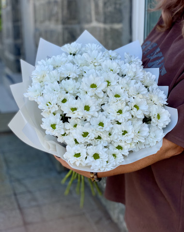 Букет из 11 хризантем  — Цветочный король