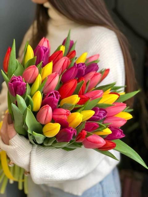 Букет разноцветных тюльпанов (51 шт) 1