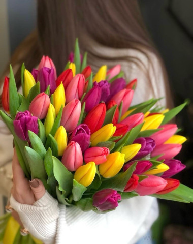 Букет разноцветных тюльпанов (51 шт) 1 &mdash; Цветочный король
