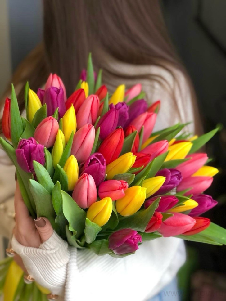 Букет разноцветных тюльпанов (51 шт) 1. Цветы Владивосток