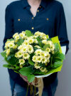 Сантини с зеленью . Цветы Владивосток фото 1 — Цветочный король