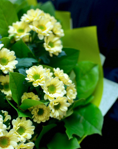 Сантини с зеленью  — Цветочный король