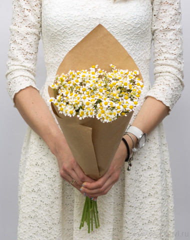 Букет полевых ромашек  — Цветочный король