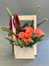 Зимняя сказка в ящике. Цветы Владивосток фото 1 &mdash; Цветочный король