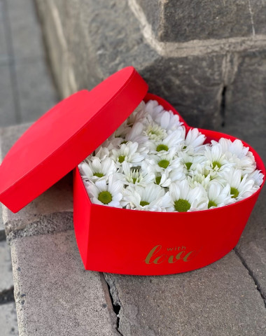 Сердце ромашек &mdash; Цветочный король