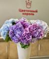 Гортензия-любое количество. Цветы Владивосток фото 1 — Цветочный король