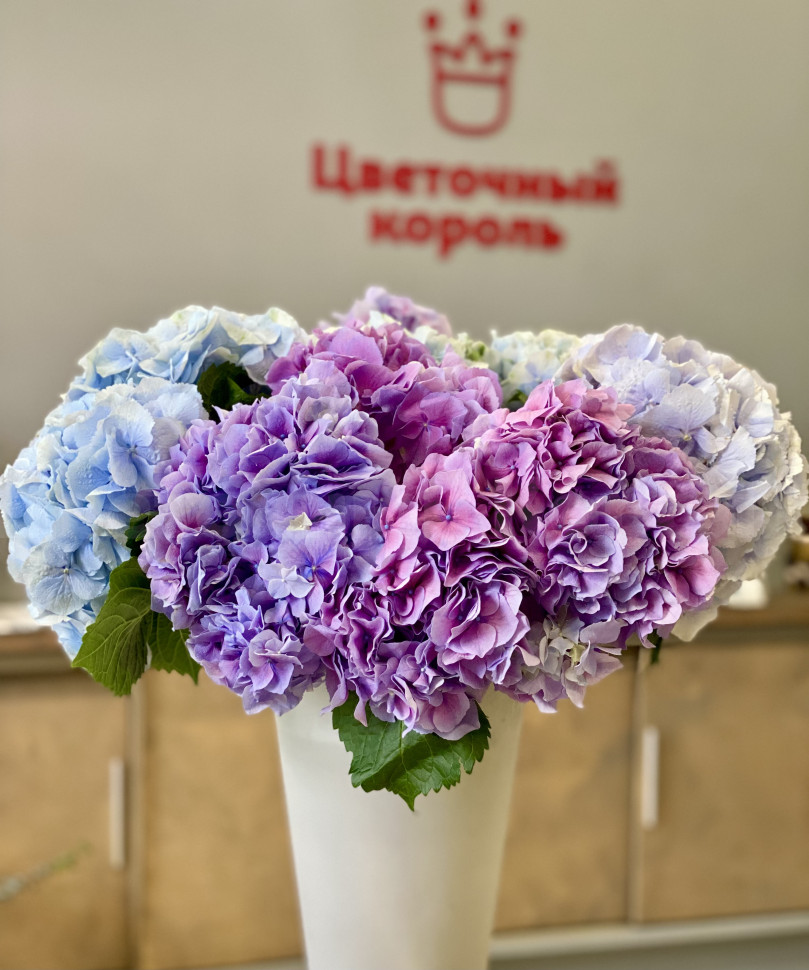Гортензия-любое количество. Цветы Владивосток фото 1 — Цветочный король