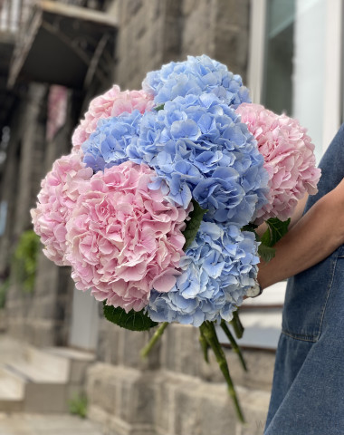 Гортензия-любое количество — Цветочный король