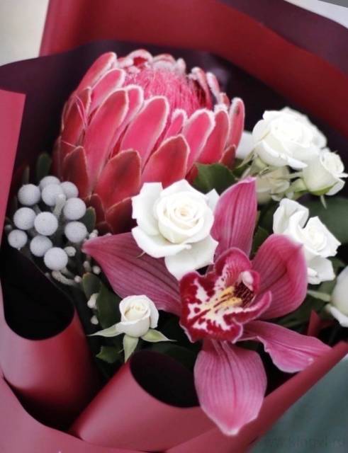 Букет с королевской протеей "Каберне" 