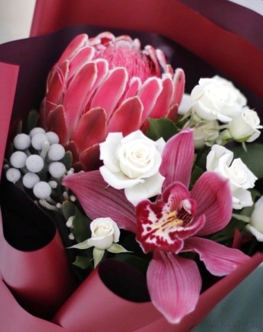 Букет с королевской протеей &quot;Каберне&quot;  — Цветочный король