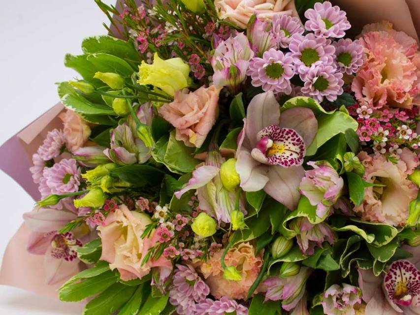 Красота и вдохновение