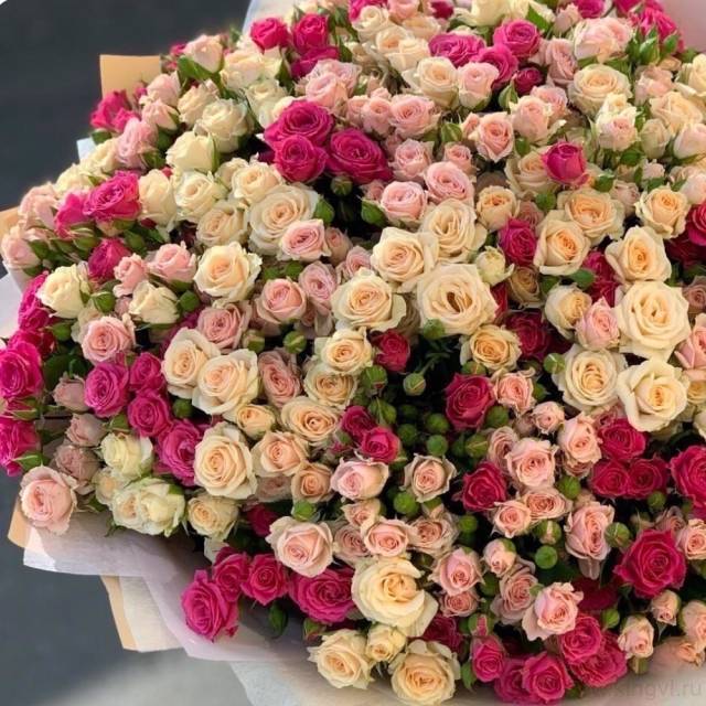 Букет из 101 кустовой розы 