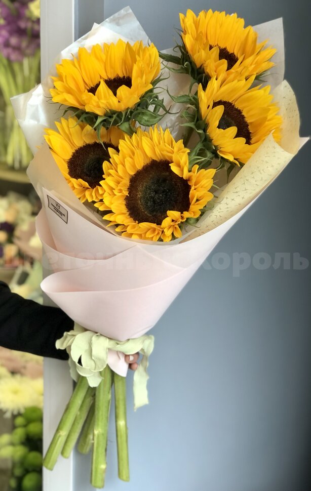 Букет из 5 подсолнухов. Цветы Владивосток фото 1 — Цветочный король