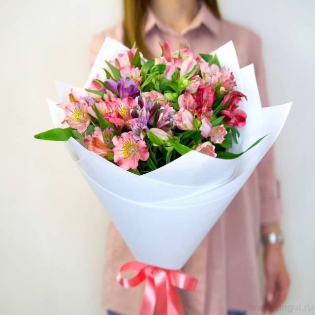 Разноцветные альстромерии  