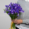 Монобукет из 15 ирисов . Цветы Владивосток фото 1 — Цветочный король