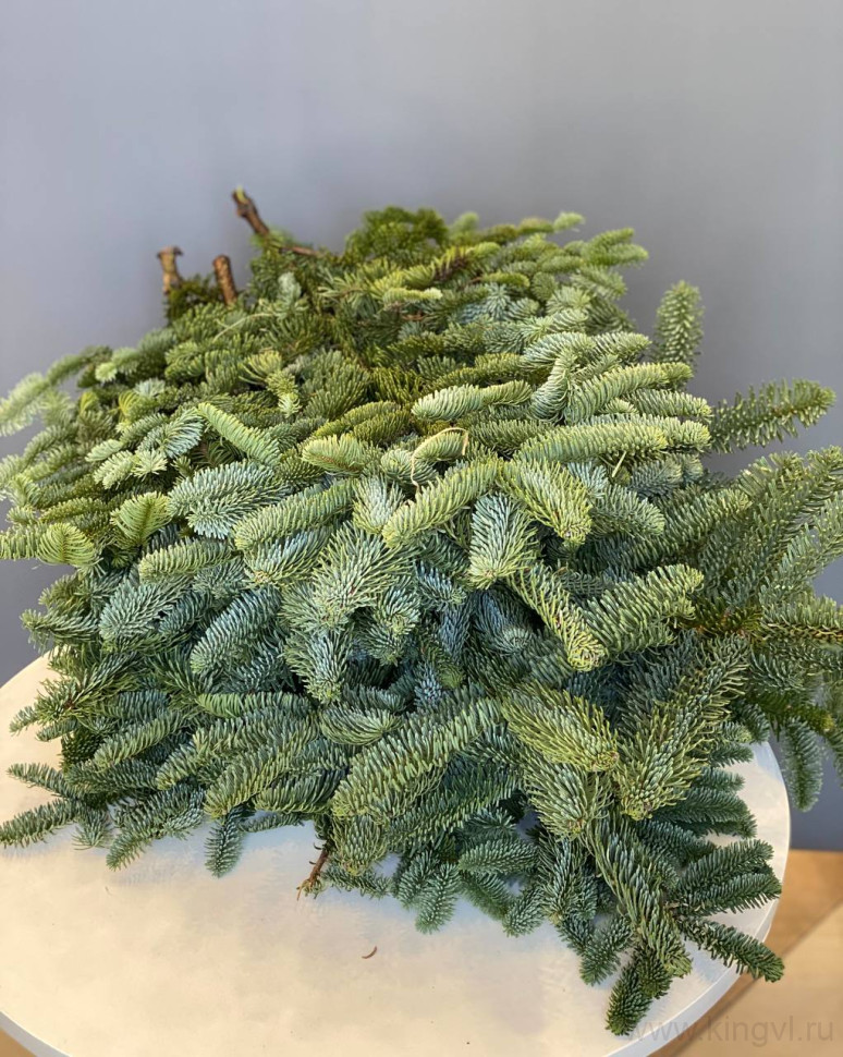 Нобилис (хвоя). Цветы Владивосток фото 1 &mdash; Цветочный король