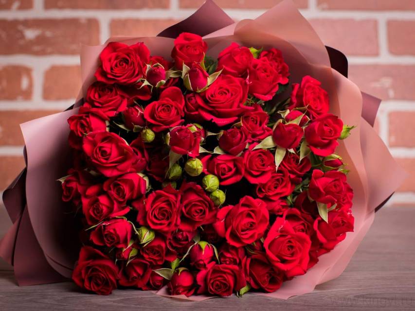 Красные кустовые розы