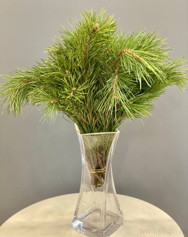 Ветки сосны ( 10 шт) &mdash; Цветочный король